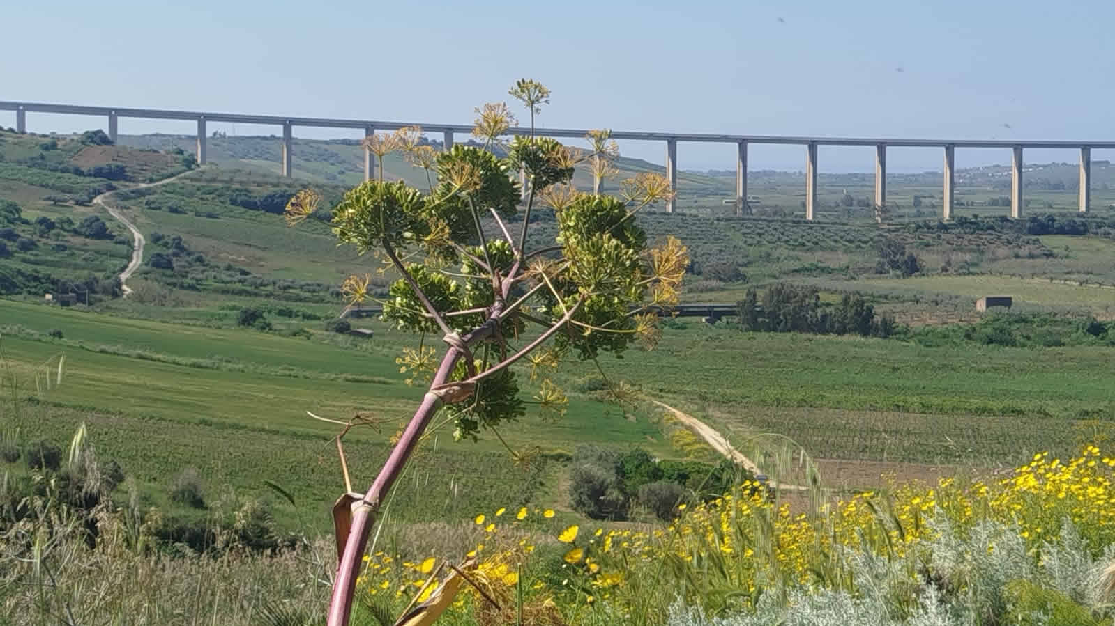 itinerario archeologico montagnoli di Menfi e dintorni
