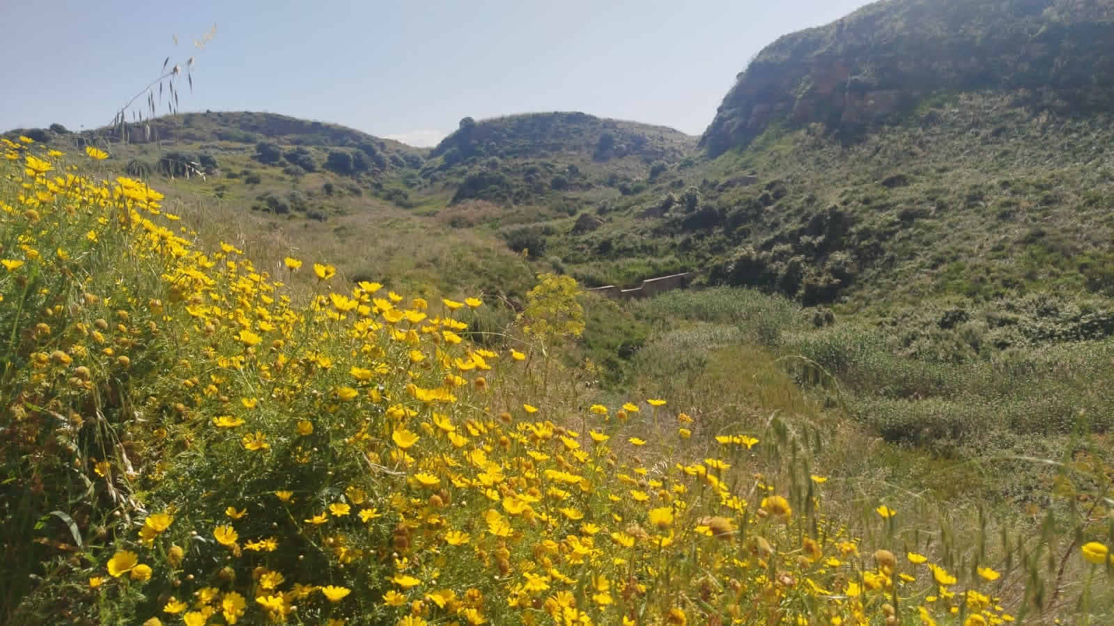 itinerario archeologico montagnoli di Menfi e dintorni
