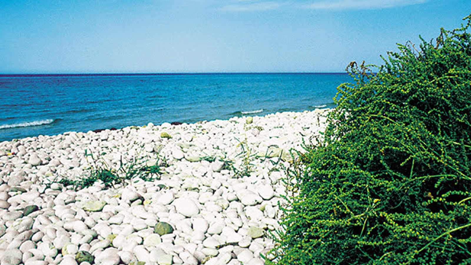 Spiaggia di giache Bianche