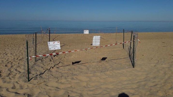 Spiaggia di Lido Fiori